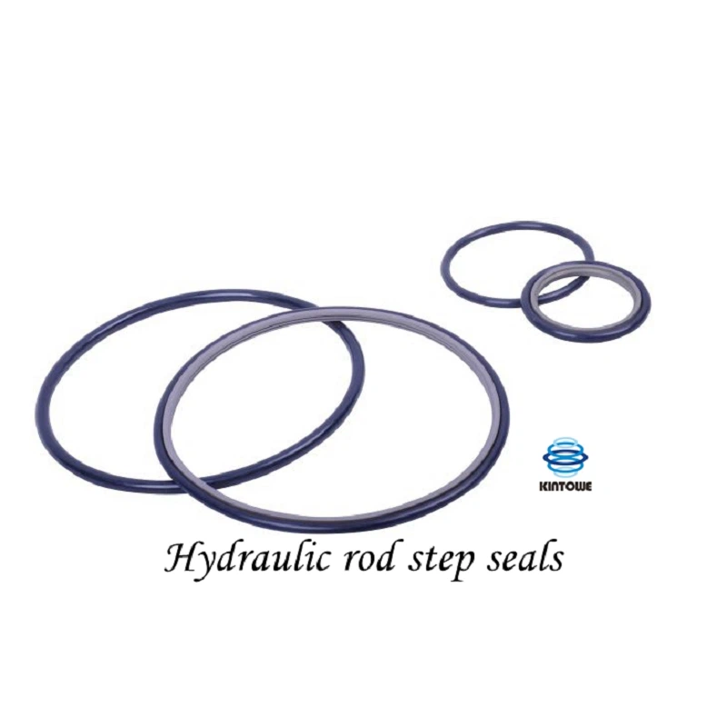 Hydraulic Rod Step Seals